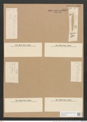 Nitzschia amphibia var. fossilis Grun. (de-Toni-Nr.: Genus 47, Species 2132) Zeichnungen Sammlung Grunow Nr. 4291 (NHMW-BOT-W0372300)